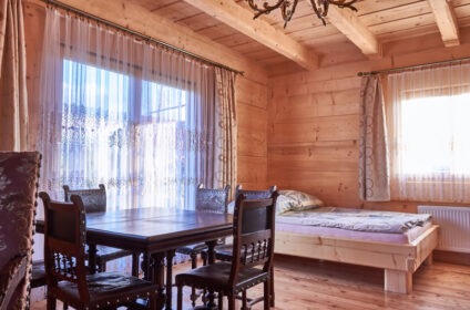 DOMEK WATRA W GÓRACH BLISKO ZAKOPANE