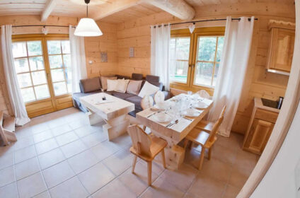 PRZYTULNE DOMKI W GÓRACH ZAKOPANE